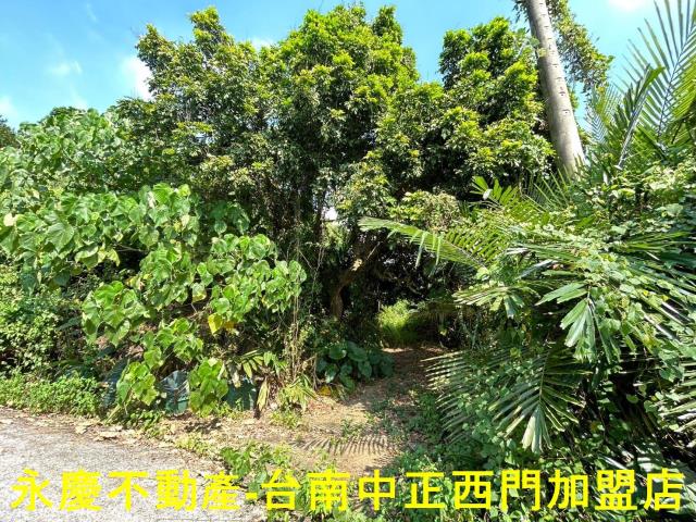 東山農地-11