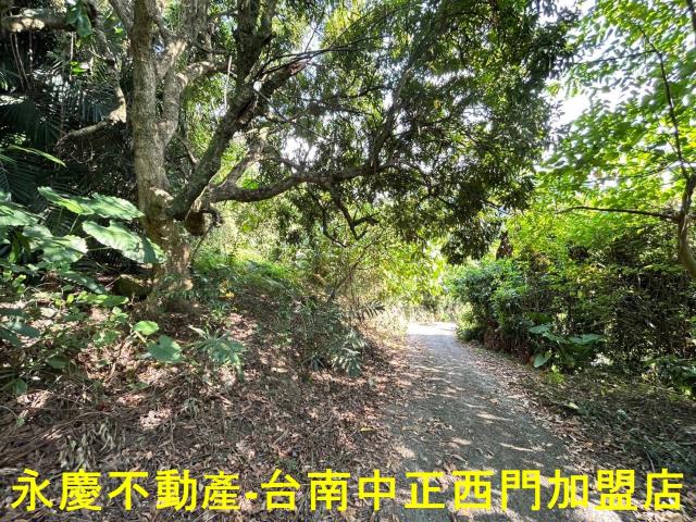 東山農地-12