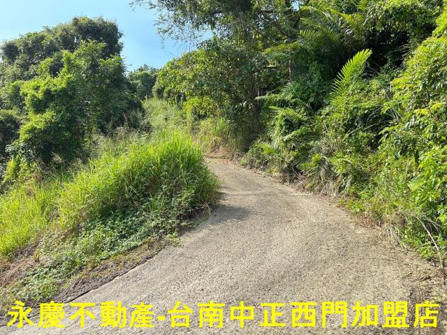 東山農地-5