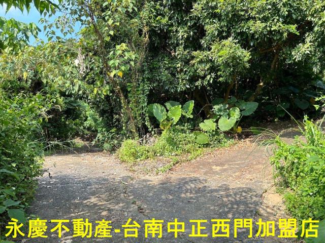 東山農地-8