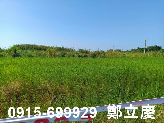 新屋農地-5