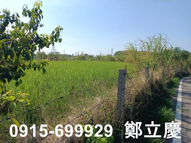 新屋農地-6