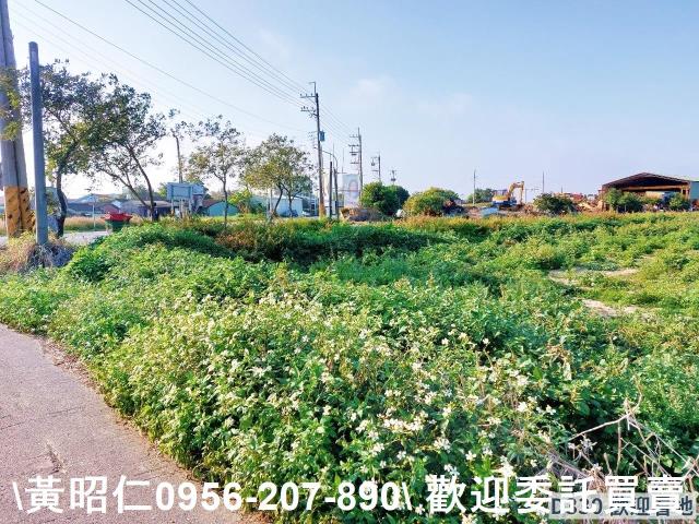 七股農地-2