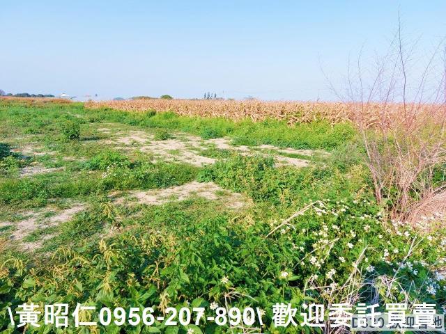 七股農地-3