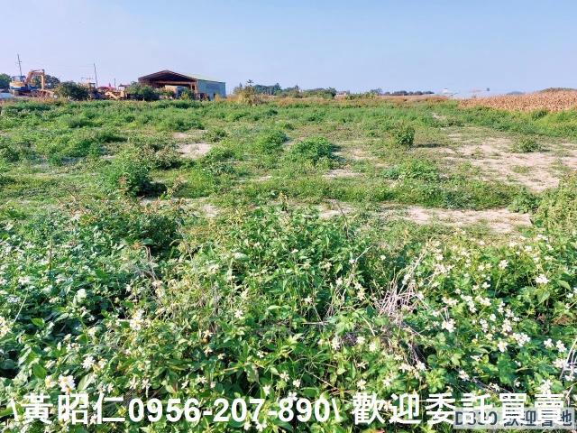 七股農地-4