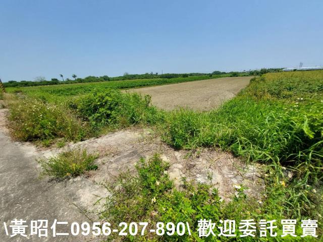 台南將軍農地-9