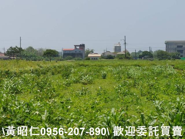 台南將軍農地-5