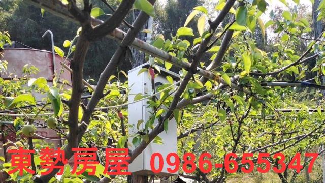 台中東勢農地-4