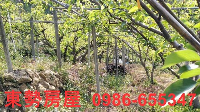台中東勢農地-5