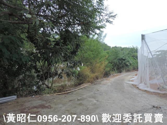 玉井農地-9