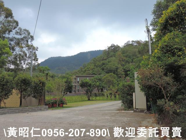 玉井農地-12