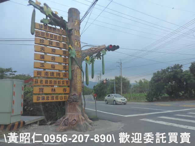 玉井農地-14