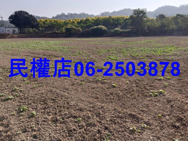 台南六甲農地-4