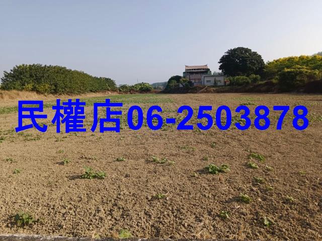 六甲農地-8
