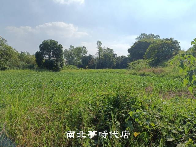 善化農地-4