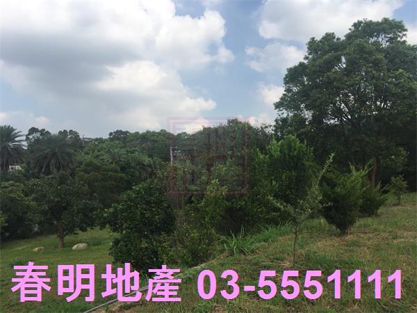 新竹農地-11