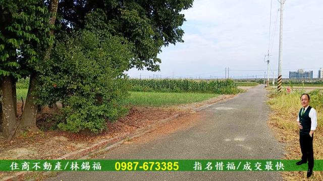 台南善化農地-4