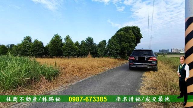 台南善化農地-7