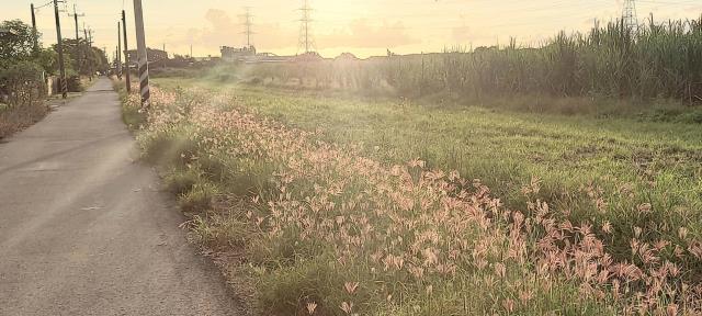 善化東勢寮3分農地