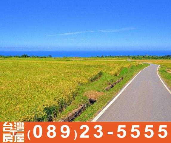 台東長濱農地-10