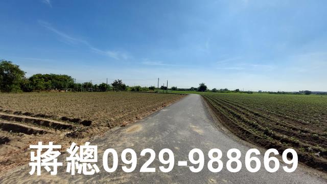 新市農地-11