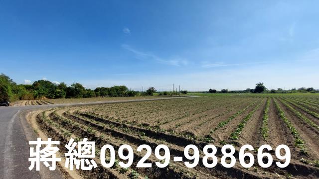 新市農地-5