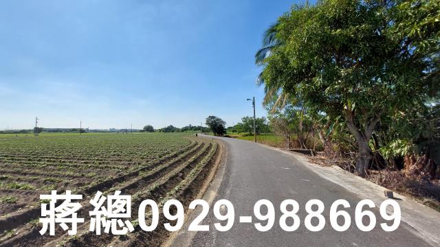 新市農地-4