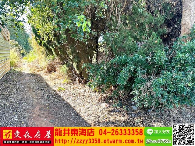 大肚農地-3