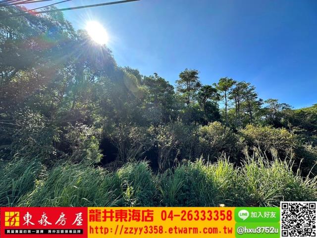 大肚農地-4