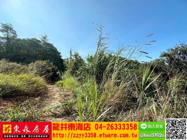 大肚農地-6