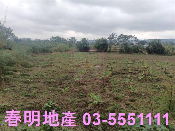 新竹農地-13