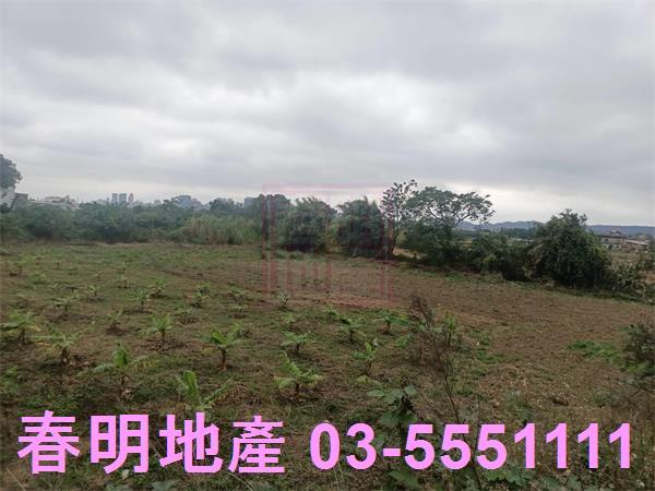 新竹農地-4