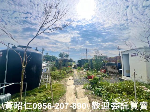 西港農地-2