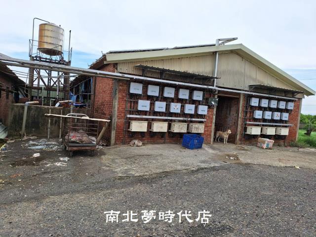 台南麻豆農地-6