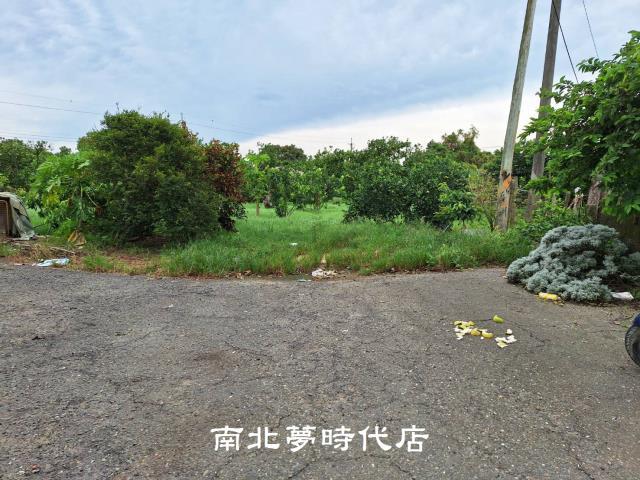 台南麻豆農地-8