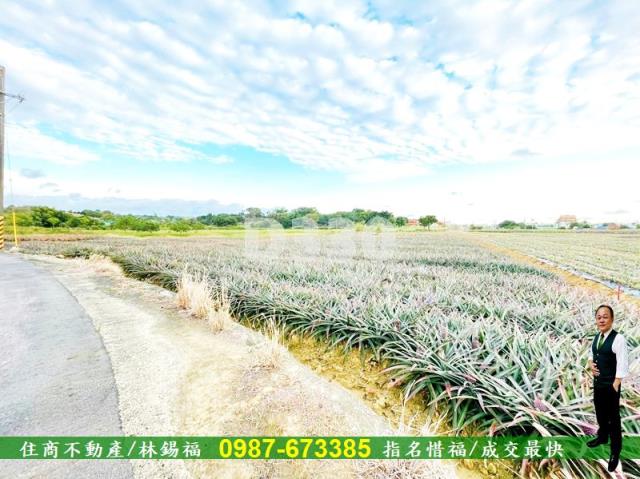 關廟農地-13