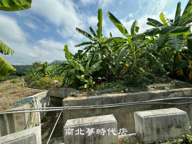 台南左鎮農地-12