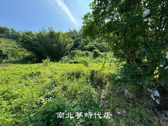 台南左鎮農地-4