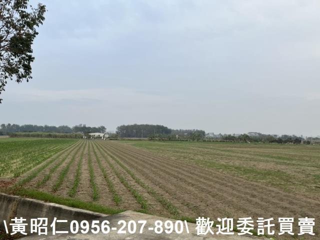 台南西港農地-1