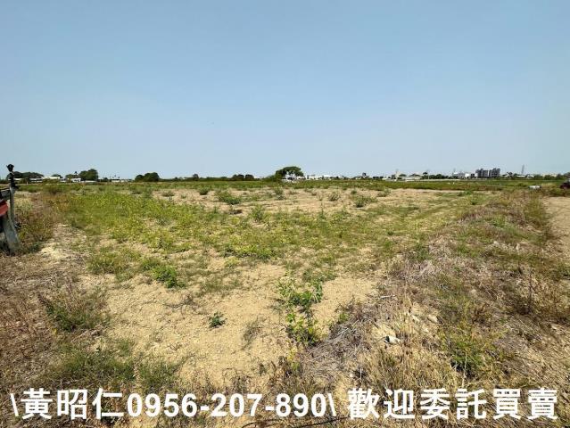 台南新市農地-0