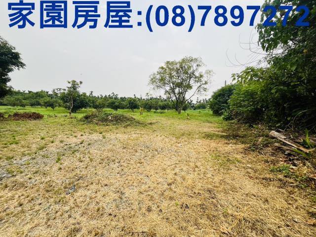 竹田農地-3
