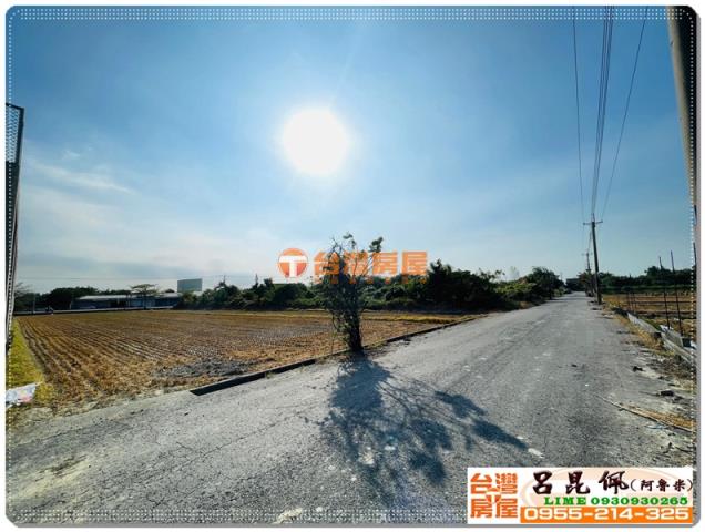 大林農地-4