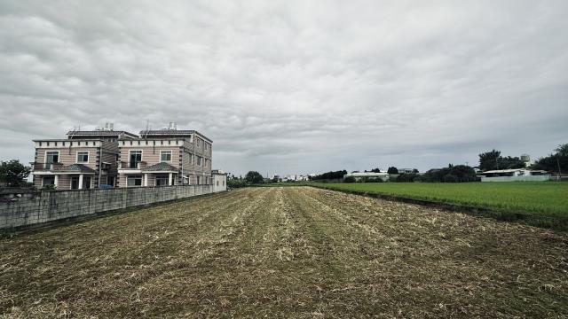 桃園中壢農地-2