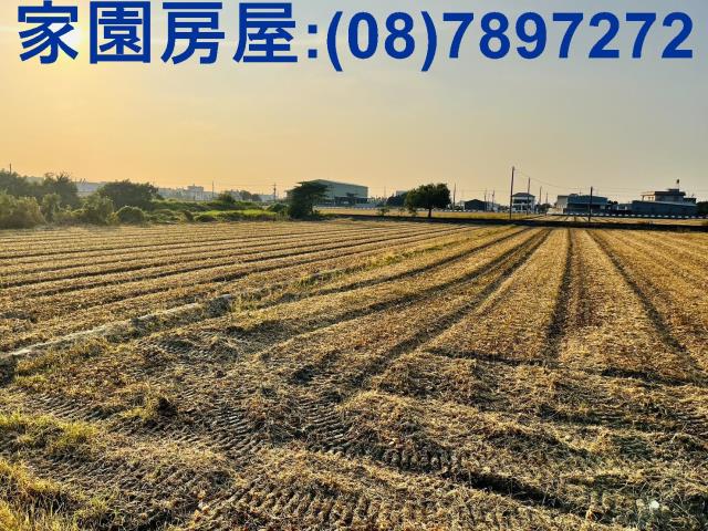 屏東萬丹農地-0