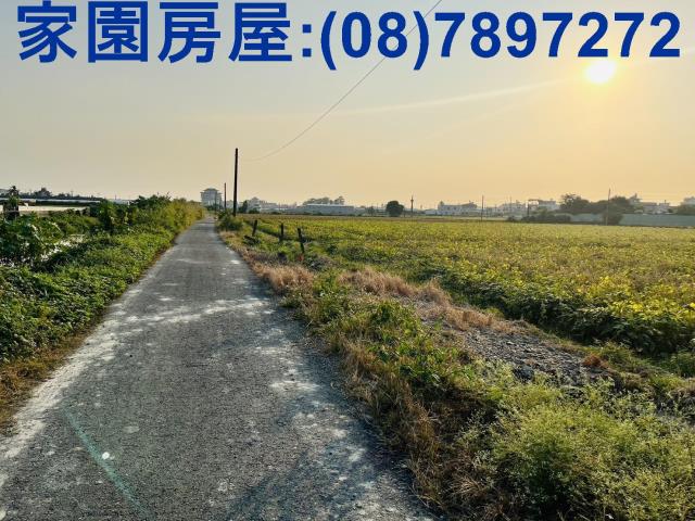 屏東萬丹農地-2