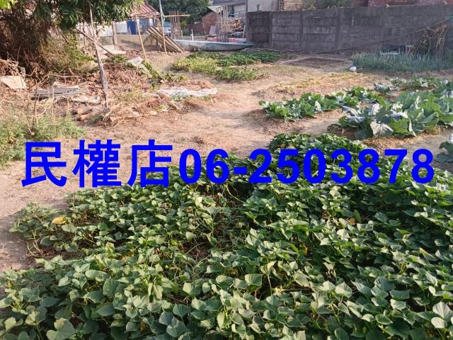 六甲建地-9