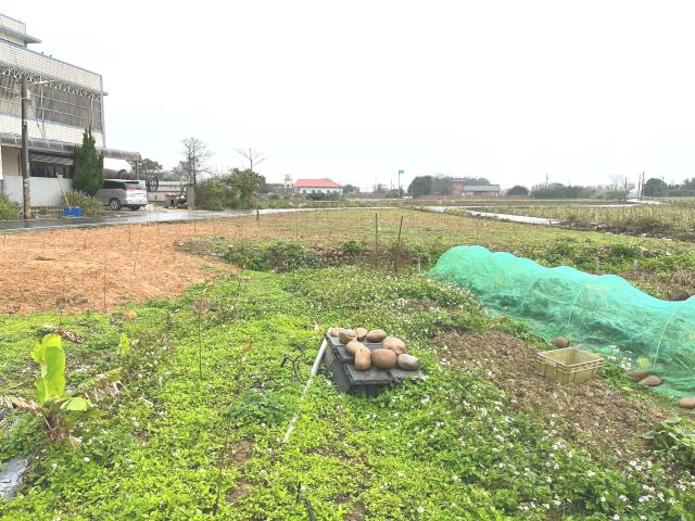 桃園新屋農地-9