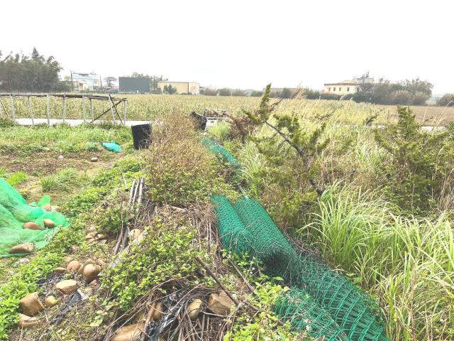 桃園新屋農地-10