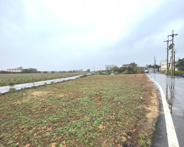 桃園新屋農地-0