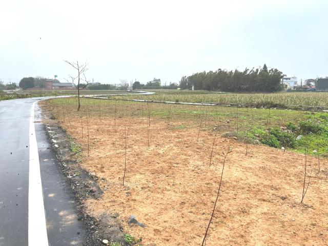 桃園新屋農地-8